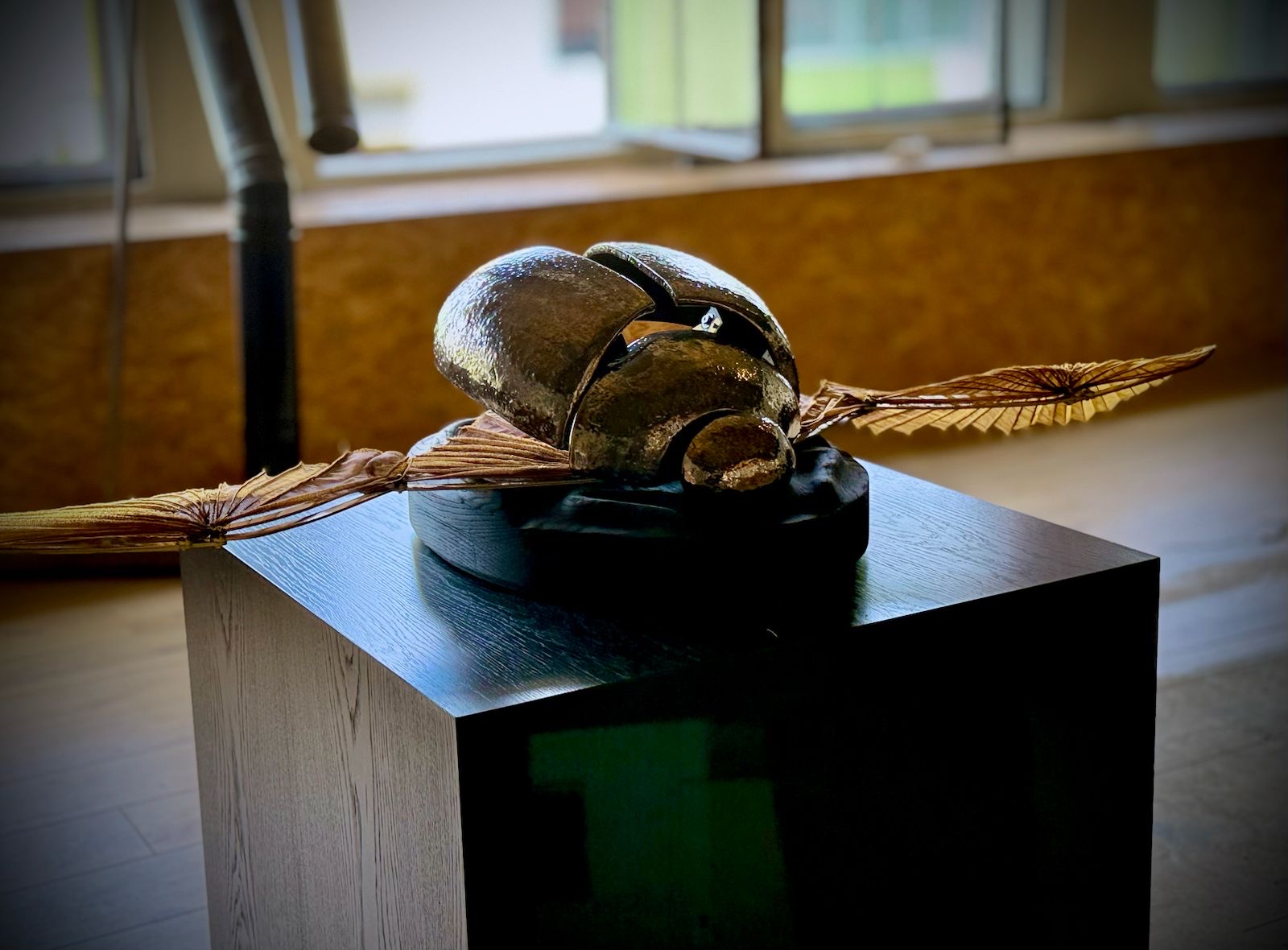 Scarab I, by Marc Pos, full view